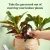 Soil Moisture Meter for Houseplants by We The Wild Plant Care