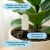 Soil Moisture Meter for Houseplants by We The Wild Plant Care