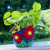 Cosmos Felt Pot from dZi Handmade