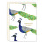 Peacock Graduation Card from Biely & Shoaf
