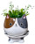 Cat’s Meow Footsie Planter from Streamline