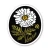 Matilija Poppy Sticker