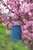 5 x7.5" Soji Stella Cylinder Solar Lantern - Blue
