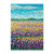 Wildflowers #6  Blank Card