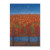 Earth's Jubilation Fall Trees Thanksgiving Card by Allport Editions