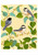 Siri Schillios: The Garden of Friendship Birthday Card