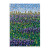 Wildflowers 4 Thank You Card