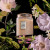 Jasmine Midnight Blooms 18 oz. Large Jar Candle