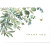 Eucalyptus Thank You Notes from Peter Pauper Press 