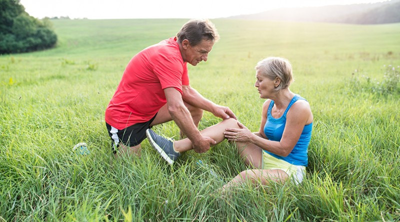 6 Helpful, Natural Holistic Medicine Supplements and Herbs