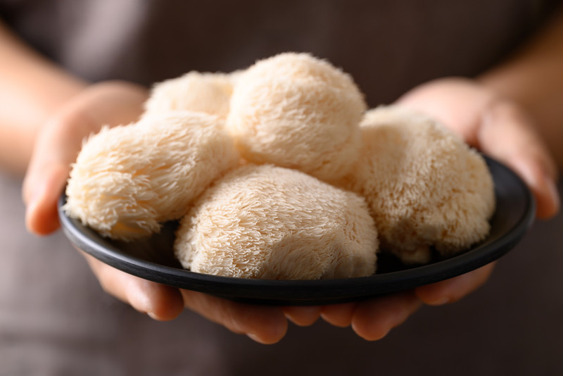 Marvelous Mushrooms for Healthy Lives Part V: Lion’s Mane