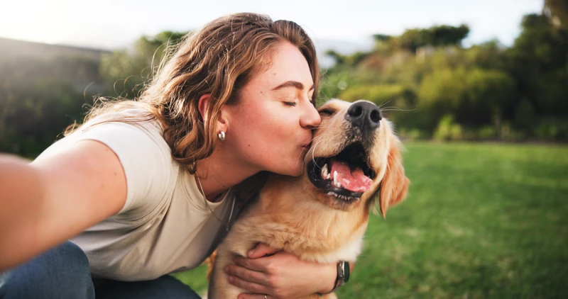 3 Supplements to Help Bolster Your Dog’s Well-Being
