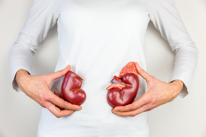 5 Vitamins, Nutrients, and Herbs Supportive of Kidney Health