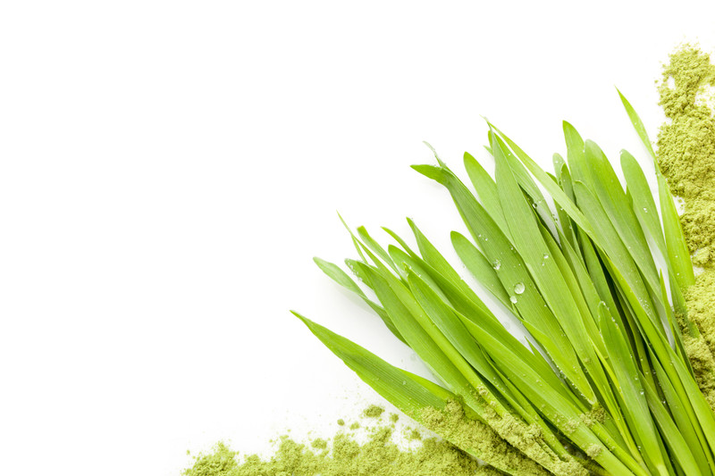 Five Beneficial, Natural “B” Supplements