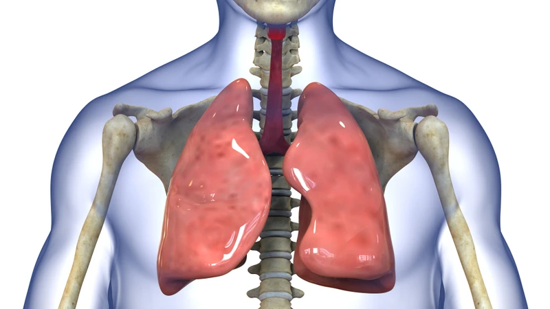 April is Sarcoidosis Awareness Month: Supplements Which Could Be Beneficial