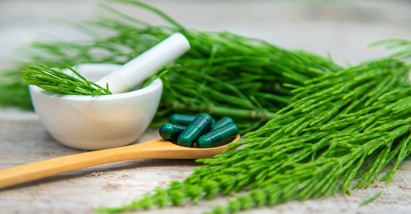 Singing the Praises of Unsung Supplements XII: Horsetail