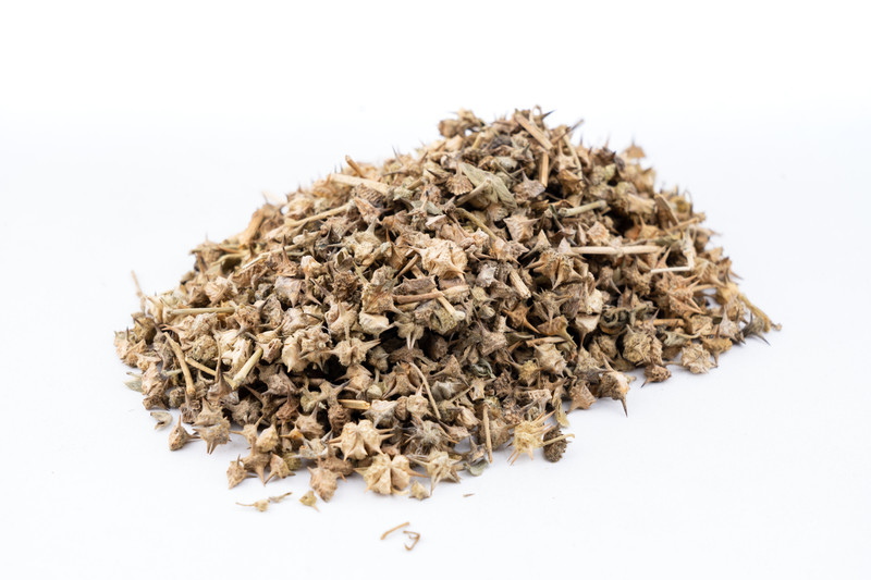 Try Tribulus Terrestris for an Assortment of Health Benefits