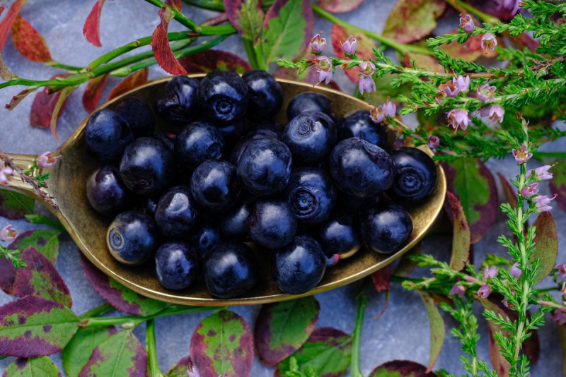 An A-Z Look at Nutrients and Supplements, Part IV: O-R