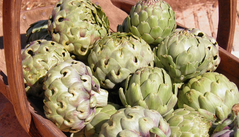 Be a Lover of Your Liver