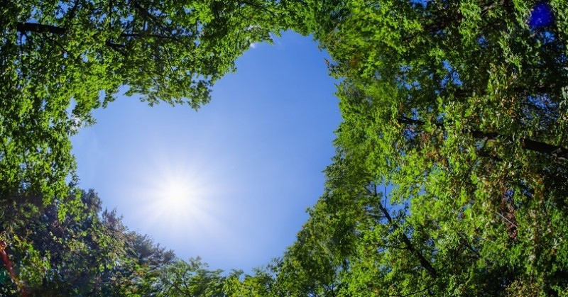 Benefits of D-Ribose