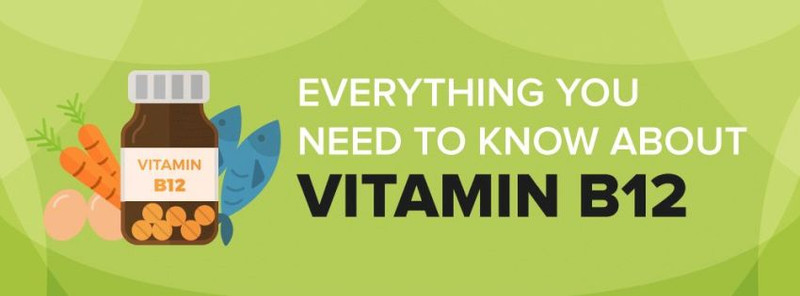 Fuel the Body with the Power of Vitamin B12 Fuel the Body with the Power of Vitamin B12