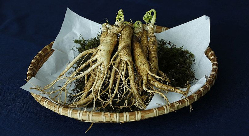 Ginseng: Its Sources, Benefits and Uses