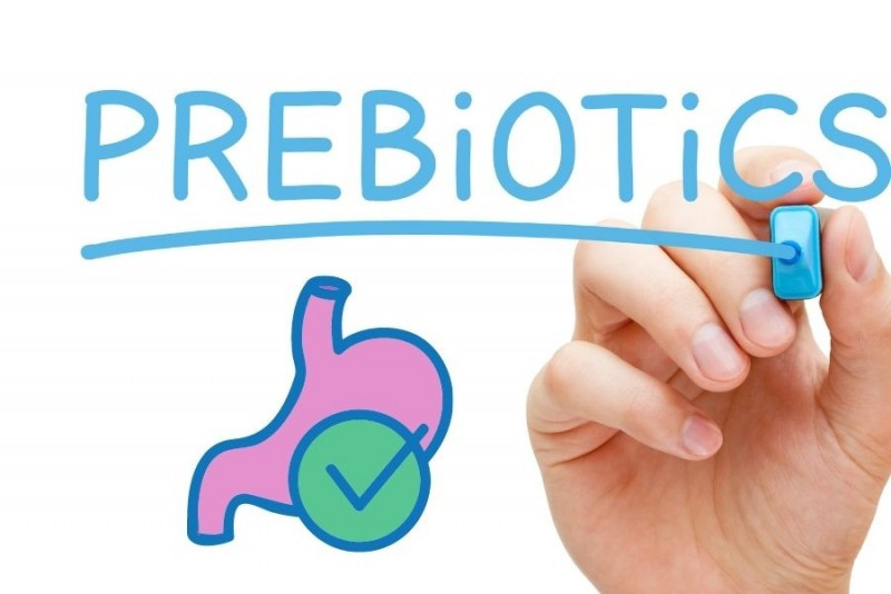 How a Preference for Prebiotics Can Pay Off