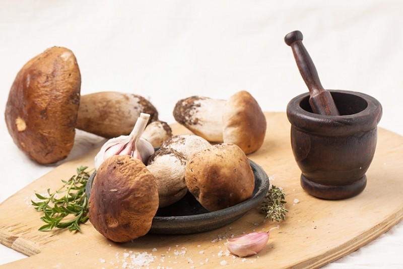 Invigorate Your Immune System: Make Room for Mushrooms