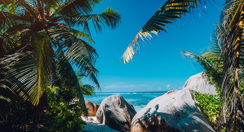 Oil Pulling Is Not a Big Drag Oil Pulling Is Not a Big Drag