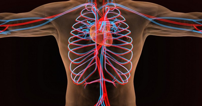 Seven Ways to Improve Your Circulation