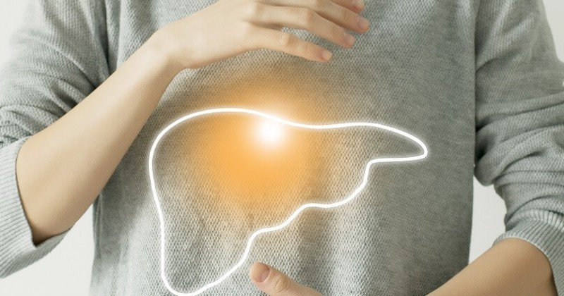 Six Supplements to Enhance Liver Health