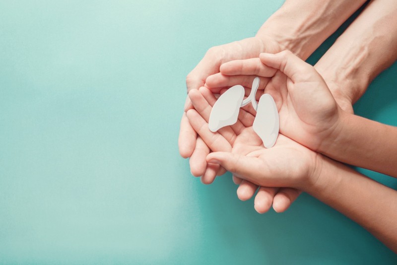 5 Natural Products That Support Lung Health And Function