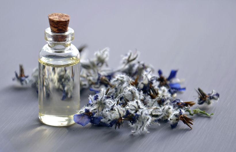 7 Reasons Why You Need Borage Oil In Your Life