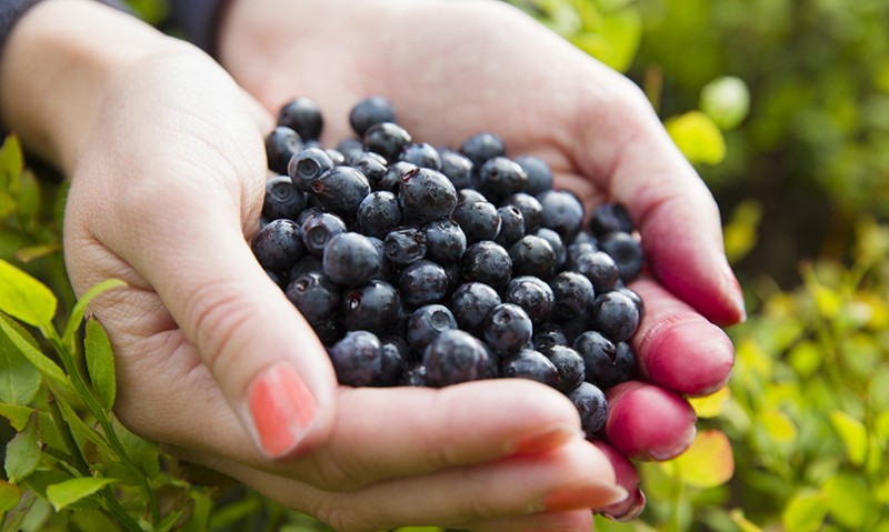 8 B's to Help You Be as Healthy as Can Be