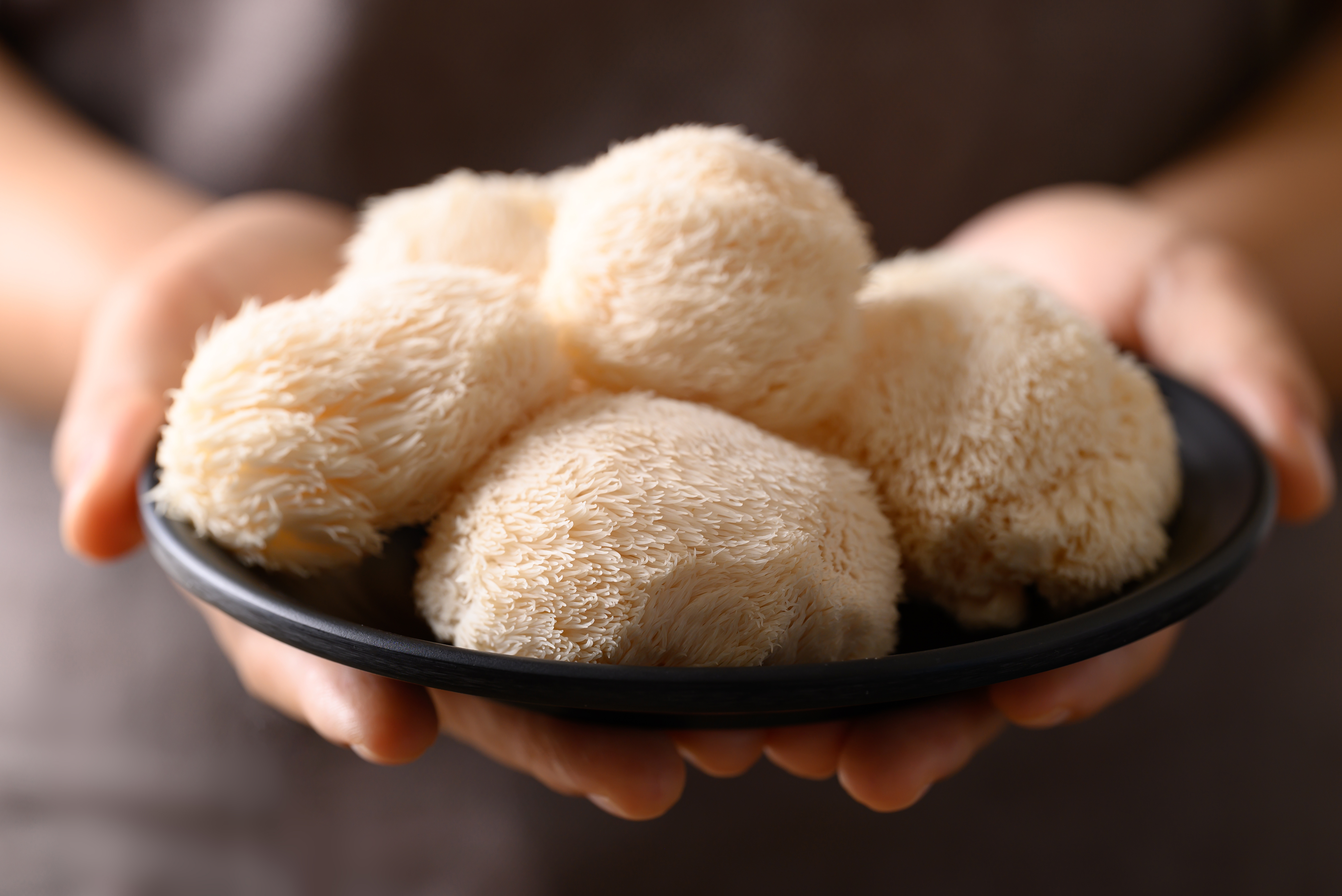 Marvelous Mushrooms for Healthy Lives Part V: Lion’s Mane