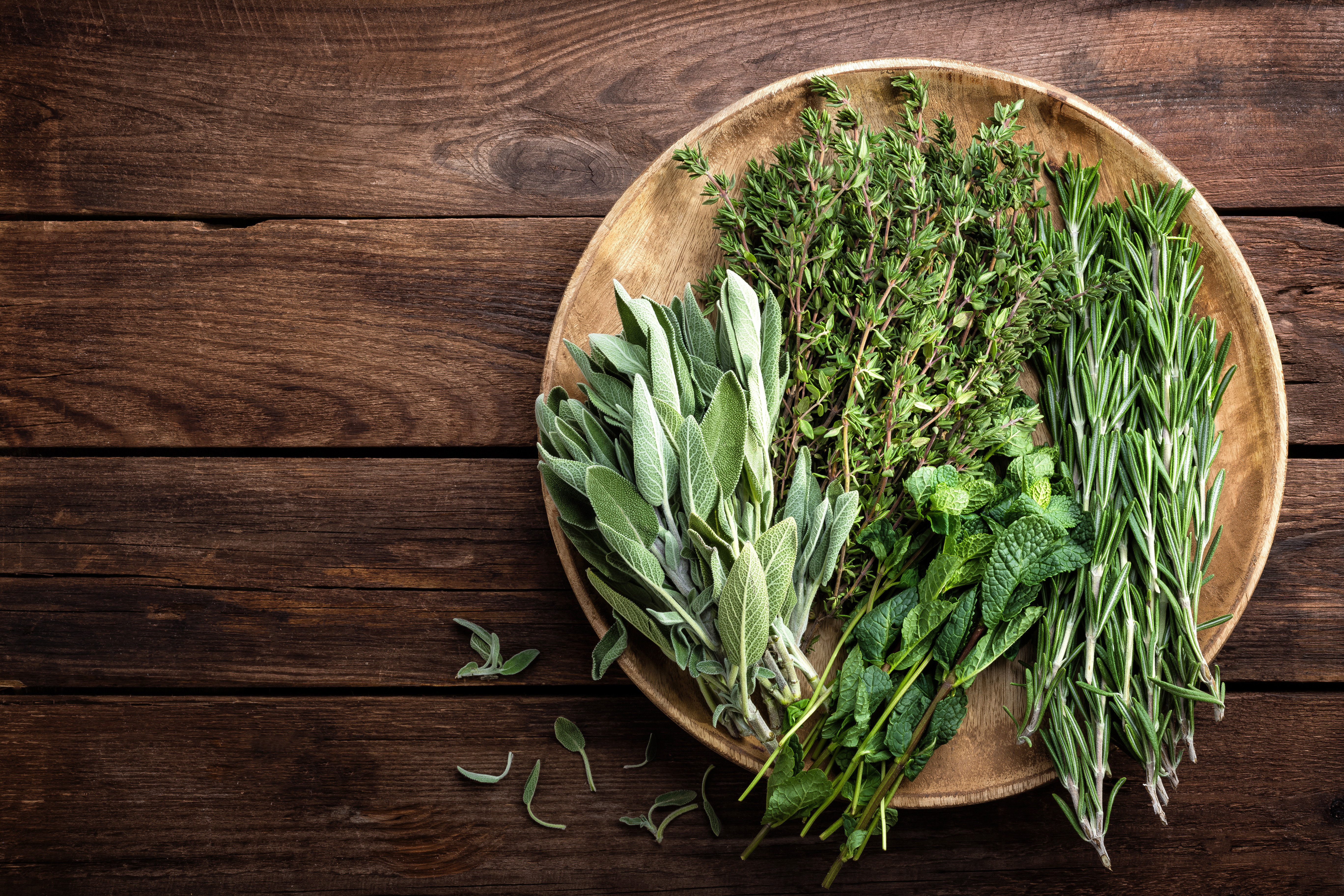 Six Herbs and Supplements for Sleep Support