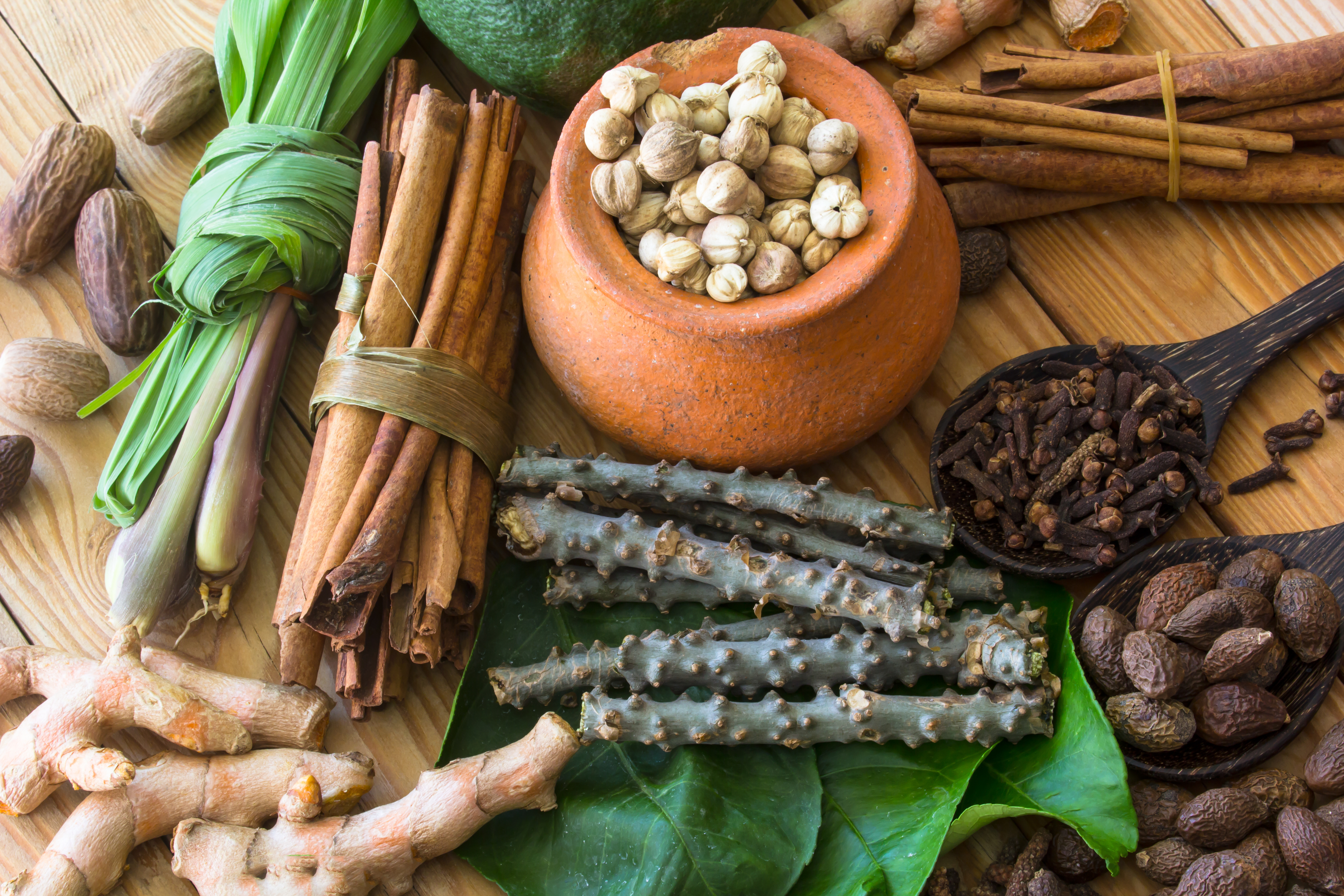 Four Heralded Herbs from Ayurvedic Medicine
