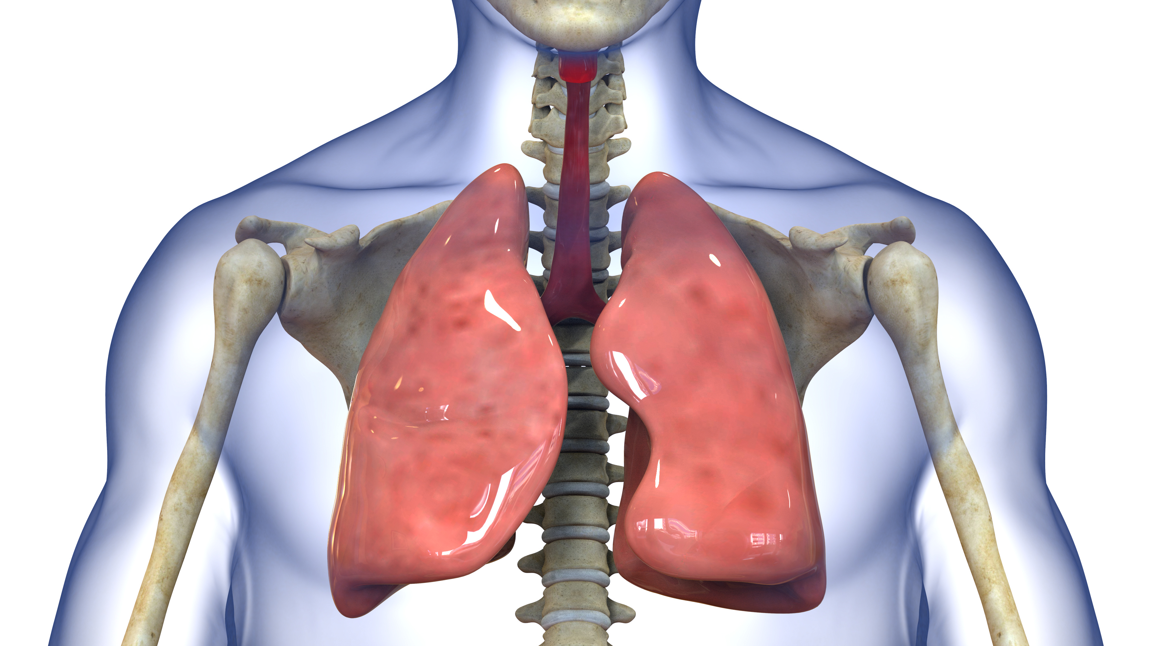 April is Sarcoidosis Awareness Month: Supplements Which Could Be Beneficial