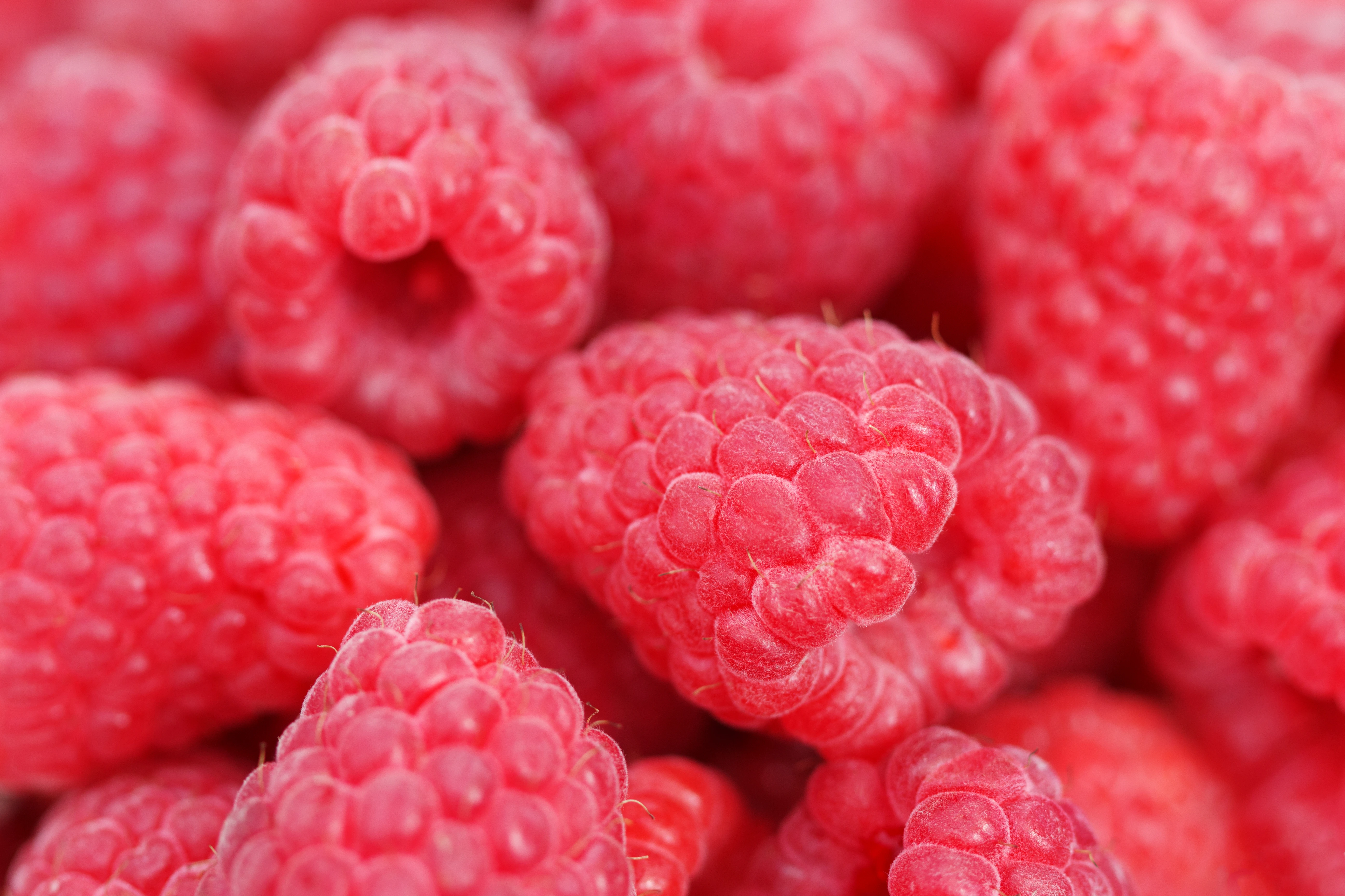 Presenting Gluten-Free Natural Remedies, Part 10: Raspberry Ketones