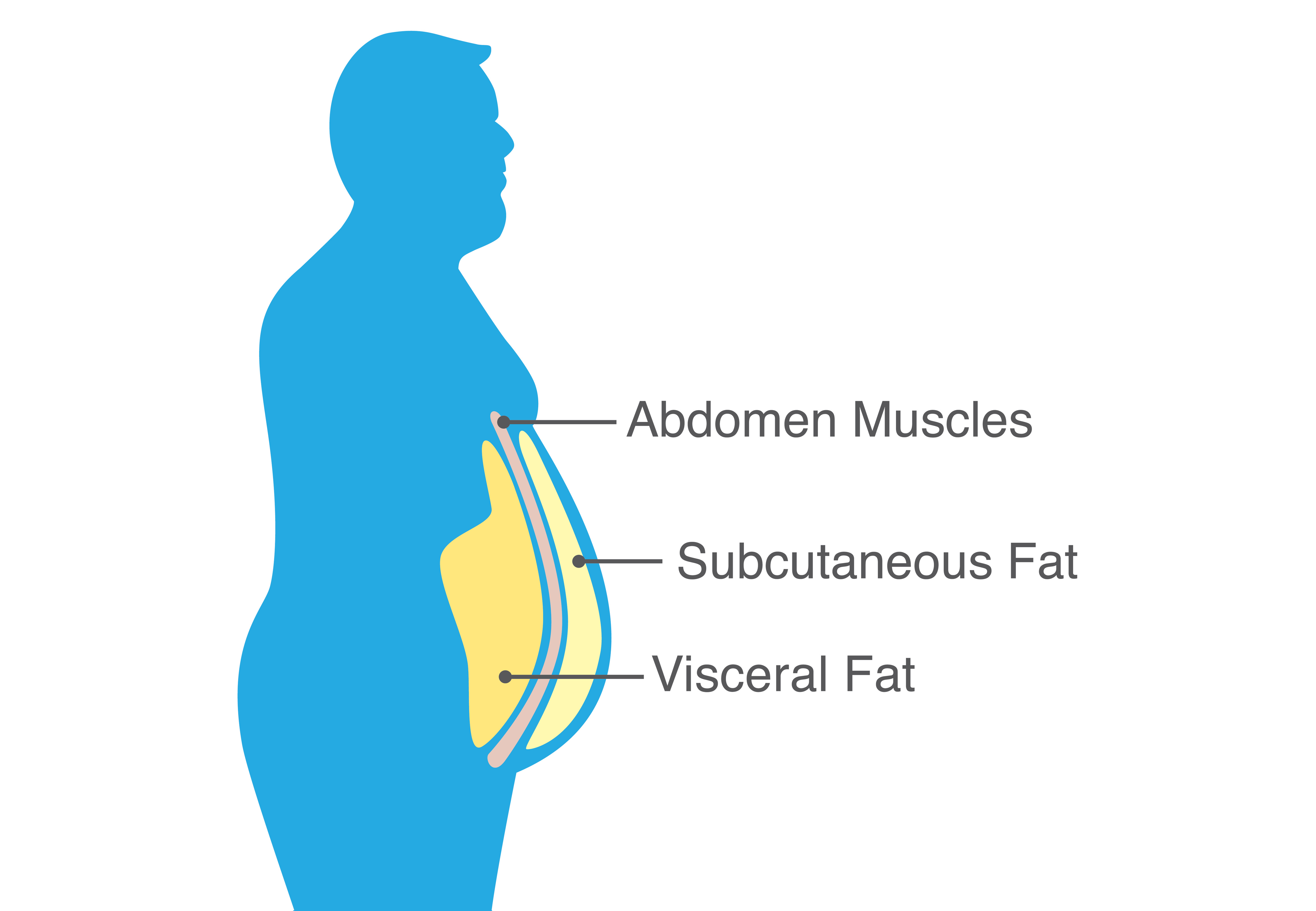 Visceral Fat = Worst Fat: Which Natural Supplements Can Help?