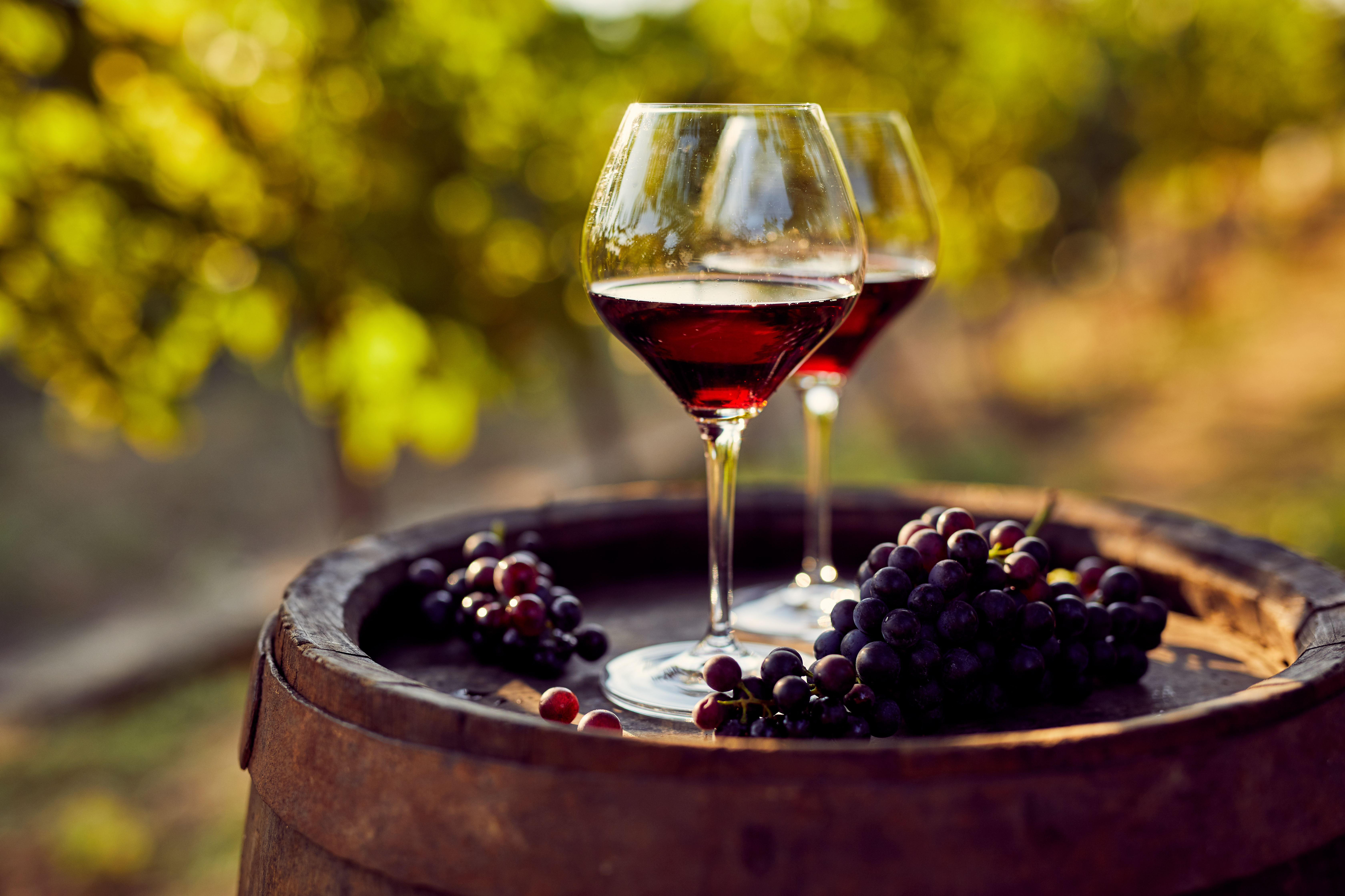 Five Resounding Benefits of Resveratrol