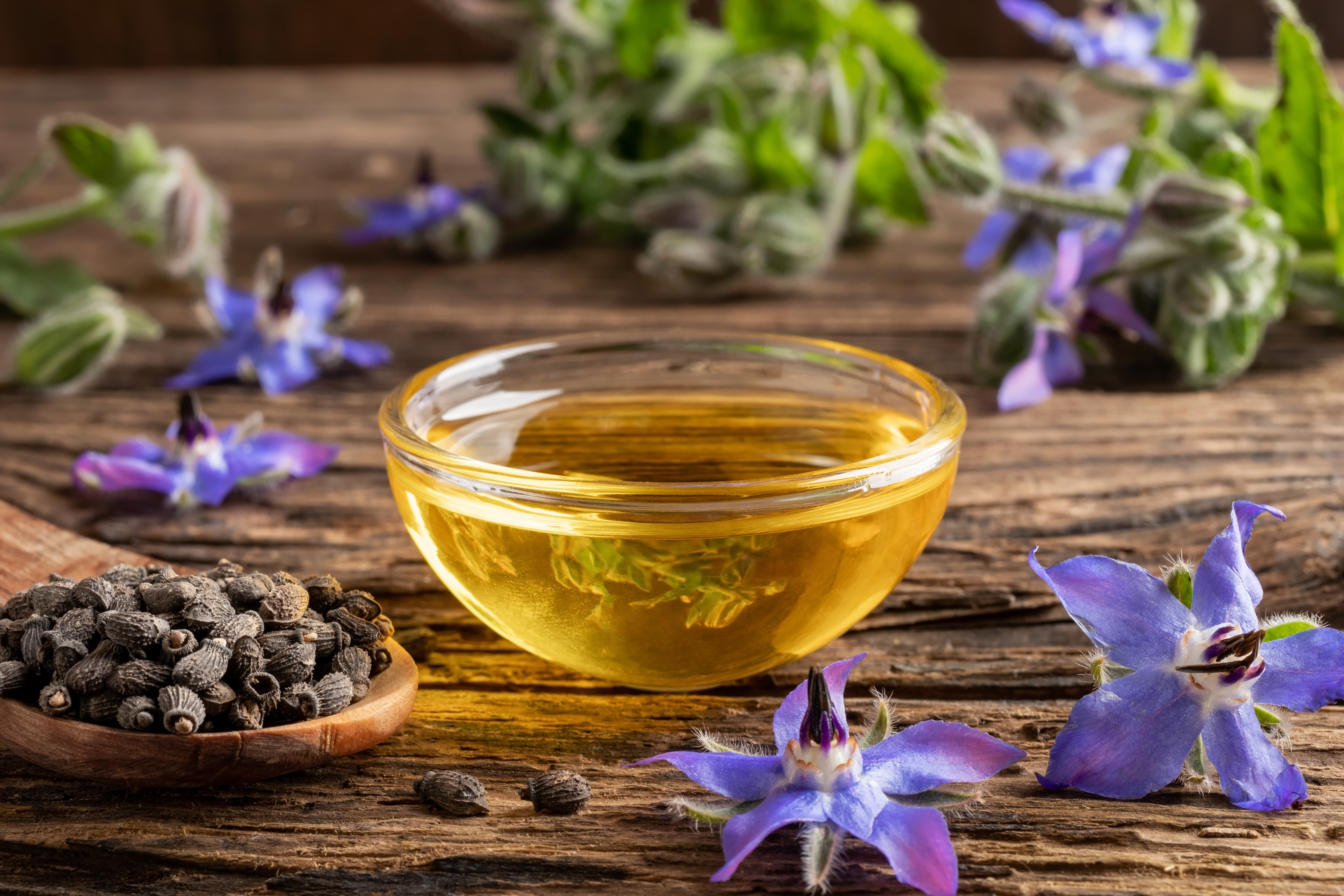 3 Widely Applicable Benefits of Borage Oil