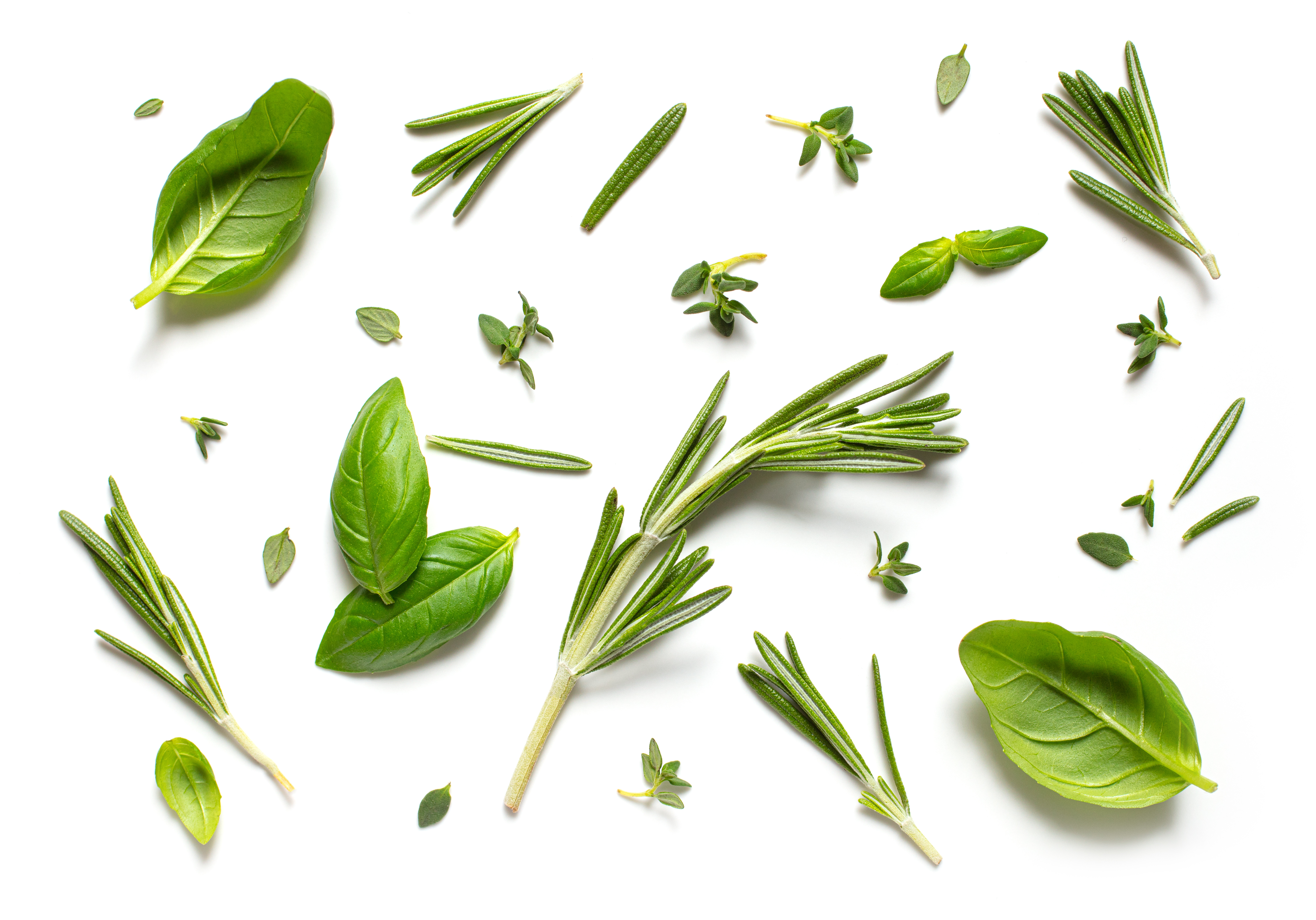 Five Good “G” Herbs and Nutrients to Consider