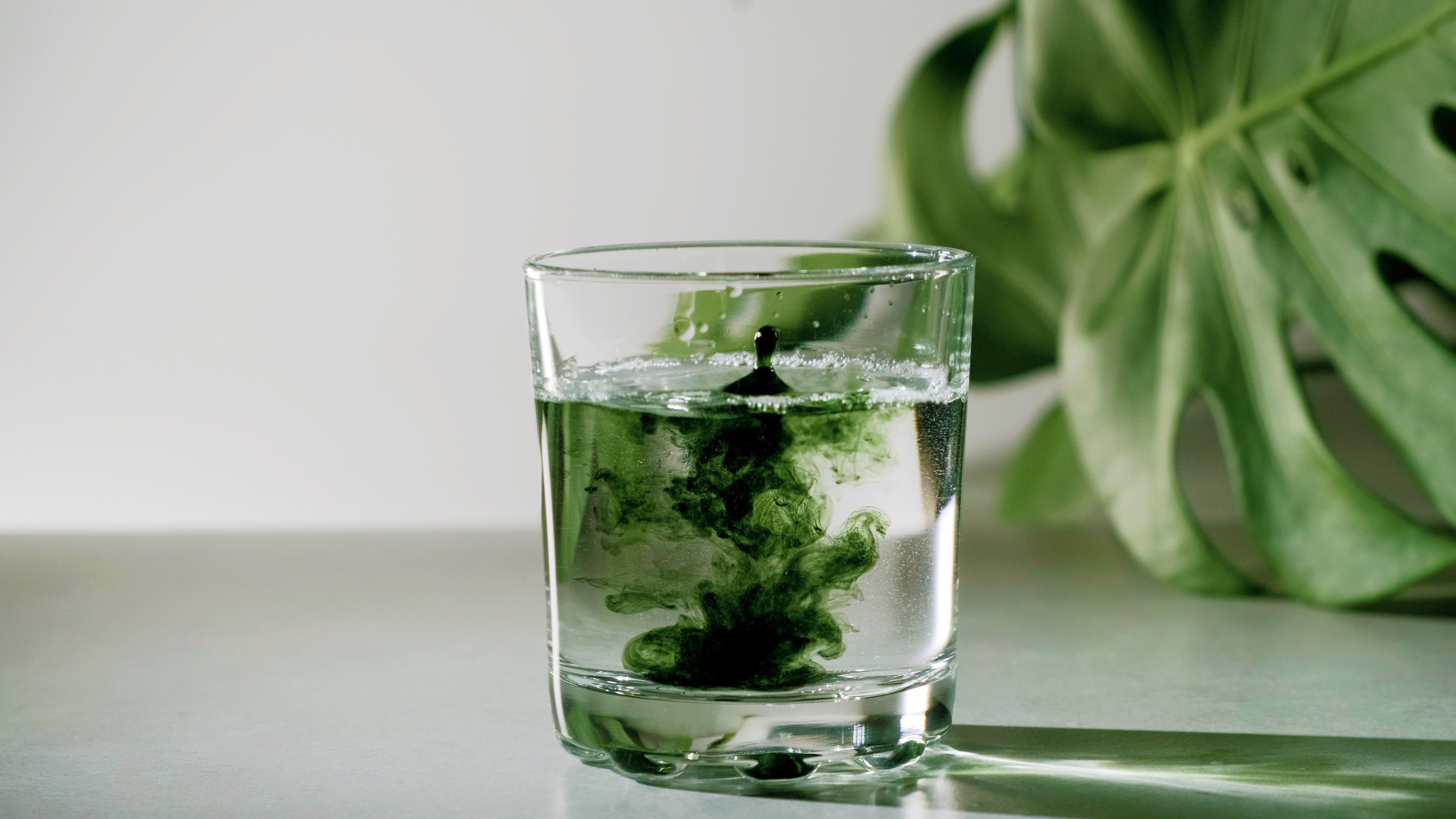 Singing the Praises of Unsung Supplements XVII: Chlorophyll