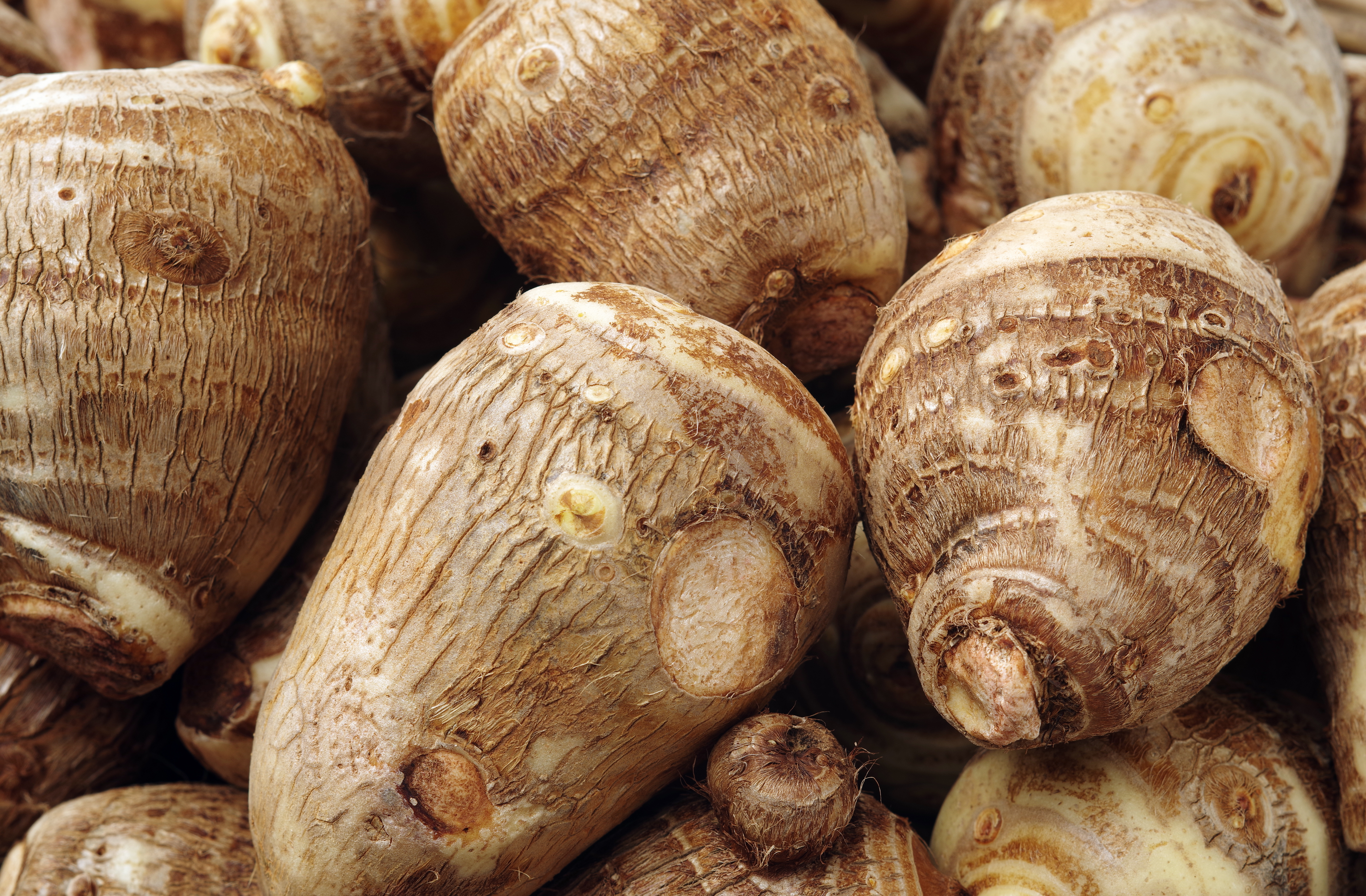 Healthy Living A to Z, Part 18: Y