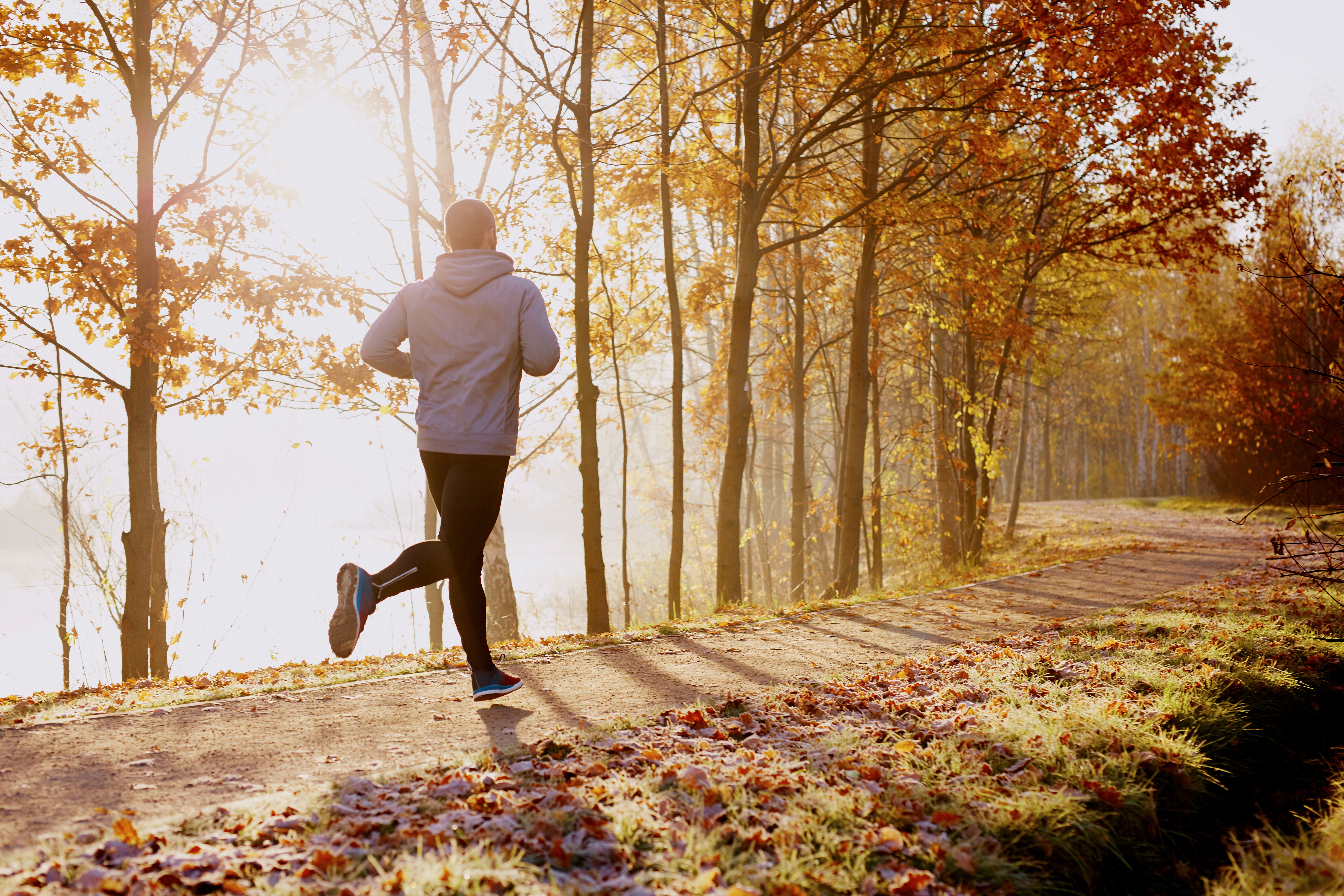 Supplements Which Support Energy and Overall Wellbeing