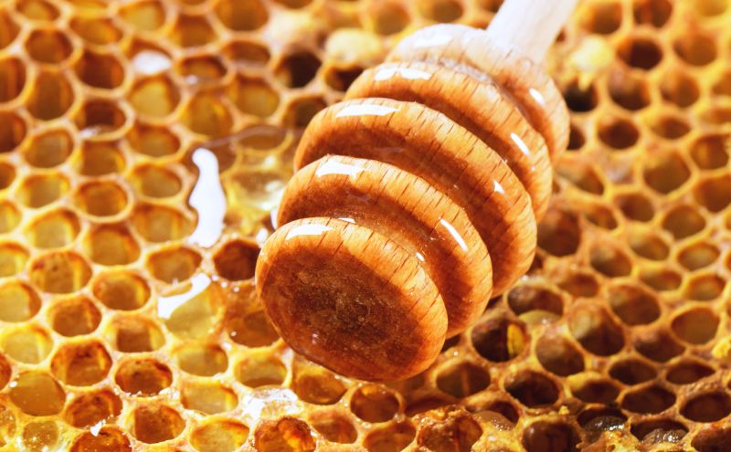 Allergy Season Is Honey-do Season