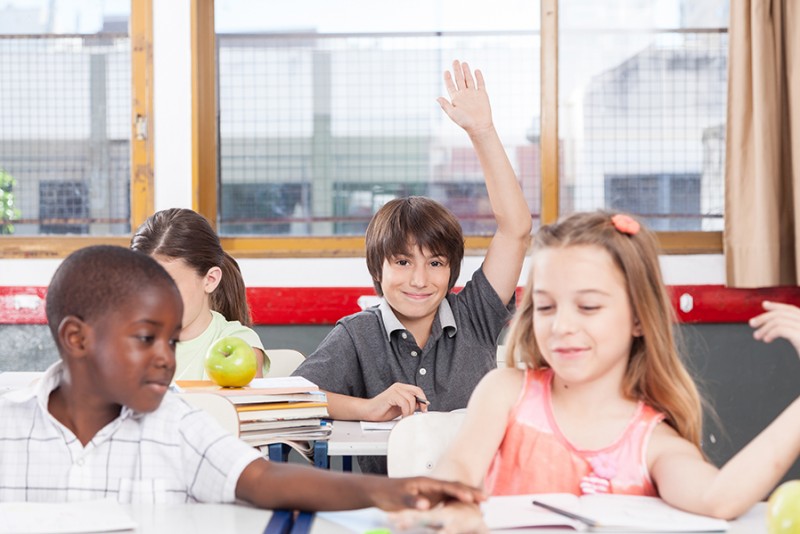 Brain Supplements for Back-to-School Support