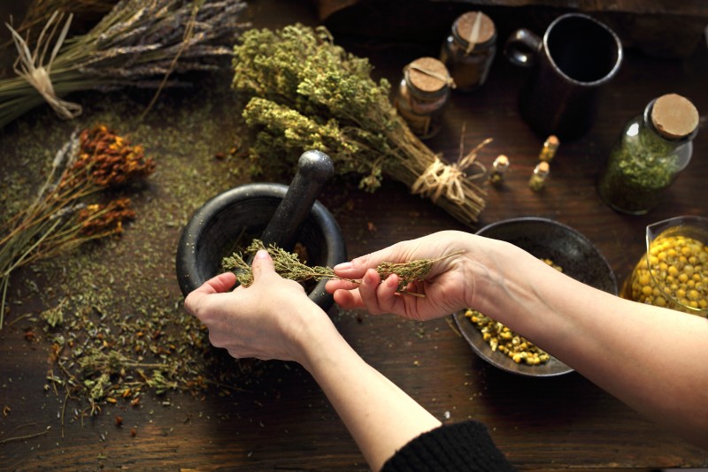 Four of the Best Herbal Supplements on the Market