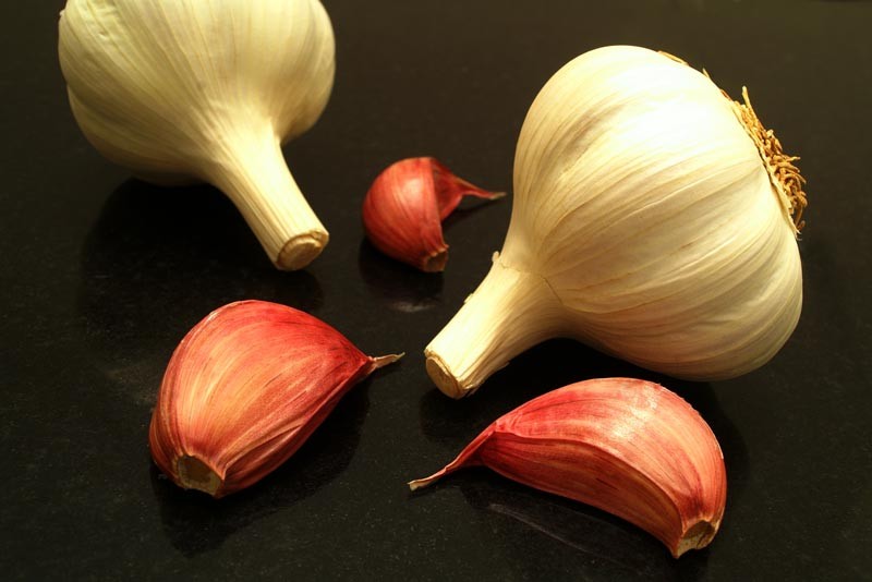 Garlic Brings Health Benefits To The Table